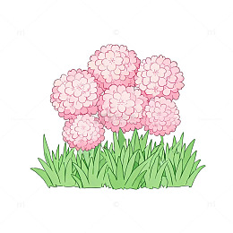 卡通风格粉色绣球花绿草插画素材