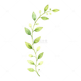 水彩风清新绿叶枝条手绘植物素材
