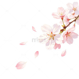 手绘风樱花枝条花瓣飘落设计素材