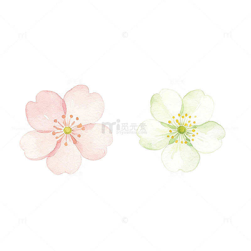 水彩风樱花花朵手绘设计素材