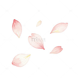 水彩风樱花花瓣飘落插画素材