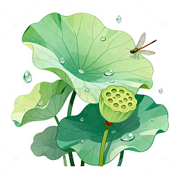 插画风荷叶莲蓬蜻蜓设计素材