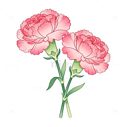 手绘风粉色康乃馨花卉插画素材