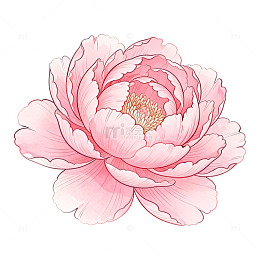 手绘风粉色牡丹花卉插画设计素材