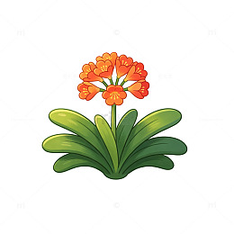 卡通风格橙色报春花植物插画素材
