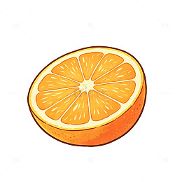 手绘风橙子切面插画设计素材