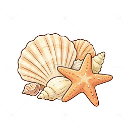 卡通风格海洋贝壳海星插画设计素材