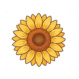 卡通风格向日葵花卉插画设计素材