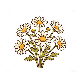 简约风雏菊花朵手绘插画设计素材
