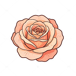 手绘风玫瑰花矢量设计素材
