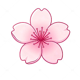 简约风樱花花卉线条插画设计素材