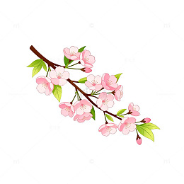 手绘风樱花枝条插画设计素材