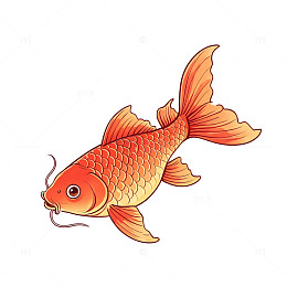 国风水墨风格锦鲤插画设计素材
