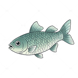 卡通风格鱼类插画素材设计