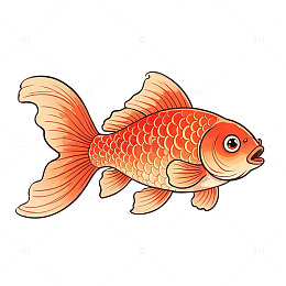卡通风格素材设计金鱼插画