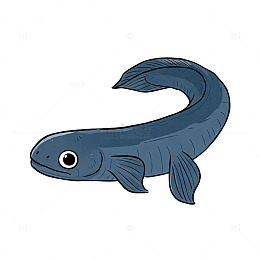 卡通风格深海鱼手绘插画设计素材