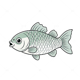 卡通风格鱼形插画设计素材