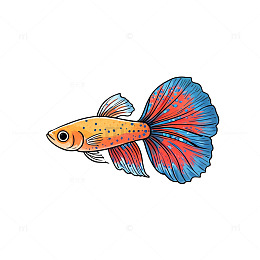手绘风孔雀鱼彩色插画设计素材