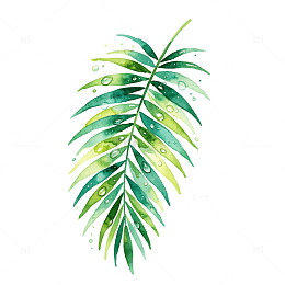 水彩风热带植物叶子手绘设计素材