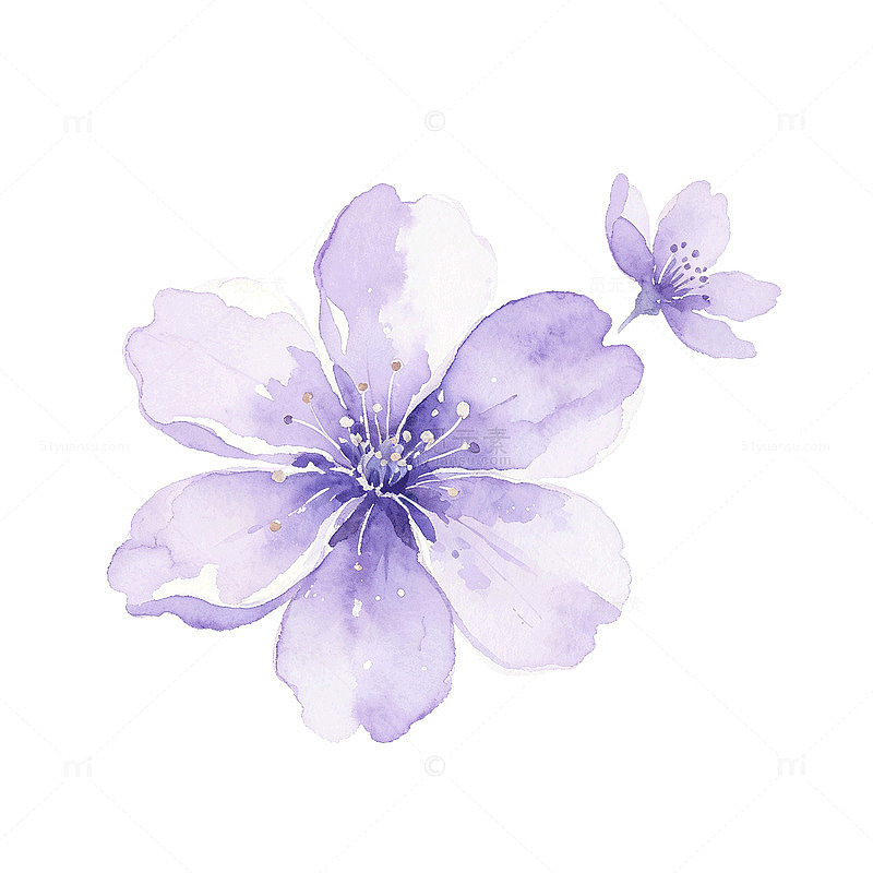 水彩风樱花绽放手绘花卉设计素材