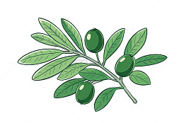 手绘风橄榄枝绿叶植物插画素材