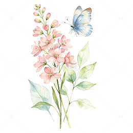 水彩风粉色花朵蝴蝶插画设计素材