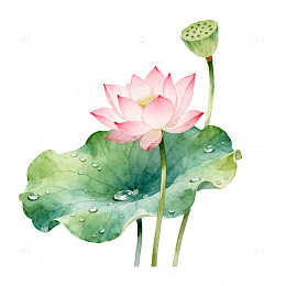 水彩风荷花莲叶手绘植物设计素材