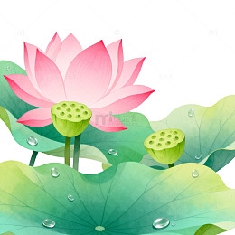 手绘风荷花荷叶水珠插画素材