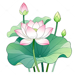 卡通风格荷花池塘手绘莲花设计素材