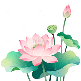 国风水墨风荷花莲花手绘插画设计素材