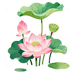 国风水墨风荷花池塘插画设计素材