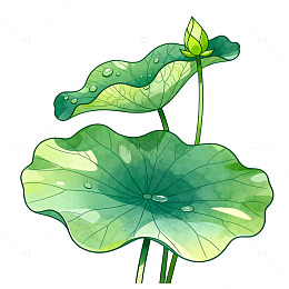 手绘风荷叶荷花植物插画设计素材
