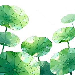 几何风荷叶水珠插画设计素材