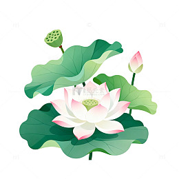 国风手绘荷花莲叶插画设计素材