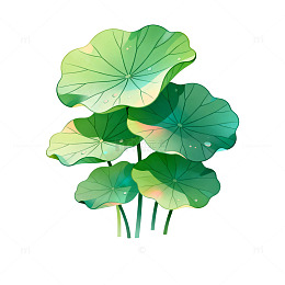 插画风荷叶水波矢量设计素材