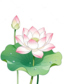 国风水墨风荷花手绘插画设计素材