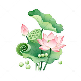 手绘风荷花莲叶植物插画素材