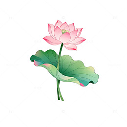 国风手绘荷花池塘插画设计素材