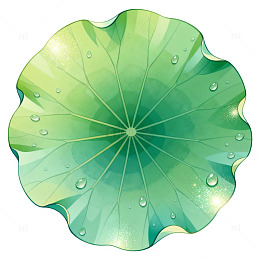 插画风荷叶水珠自然元素设计素材