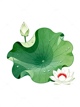 卡通风荷塘莲花手绘插画设计素材