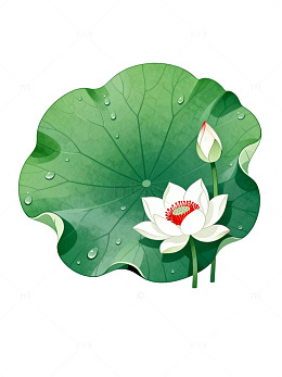 国风手绘荷花荷叶插画设计素材
