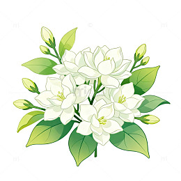 手绘风茉莉花枝插画设计素材