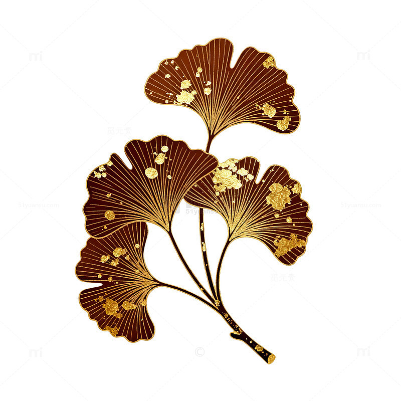 复古风银杏叶金色花纹矢量素材