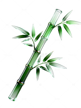 玻璃质感竹子植物透明设计素材