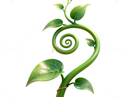 插画风绿色藤蔓植物设计素材