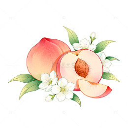 水彩风桃子花朵手绘插画设计素材