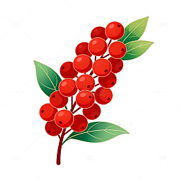 矢量风红果绿叶植物插画设计素材