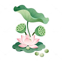 卡通风格荷花莲蓬插画设计素材