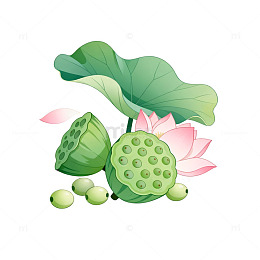 卡通风荷花莲蓬插画设计素材
