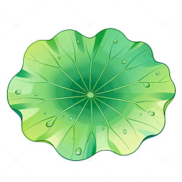 卡通风格荷叶水珠插画设计素材